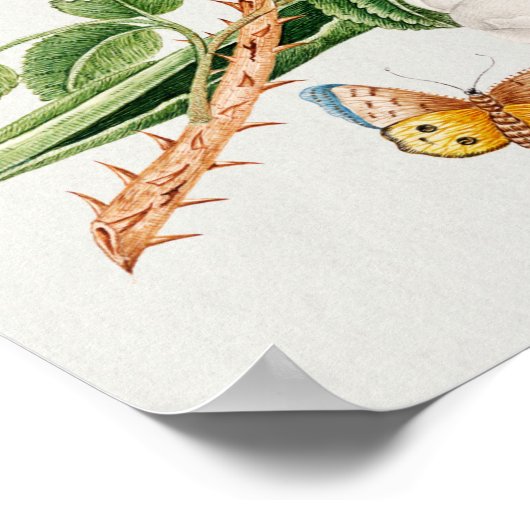 Bruine vogel op een tak poster (Hoek)