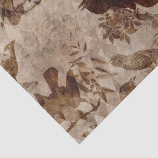 Bruine vogels en bijkantoren ontkoppelen tissuepapier (Detail)