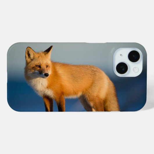 Bruine Vos Case-Mate iPhone Case (Achterkant (horizontaal))