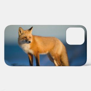 Bruine Vos Case-Mate iPhone Case