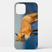 Bruine Vos Case-Mate iPhone Case (Achterkant)