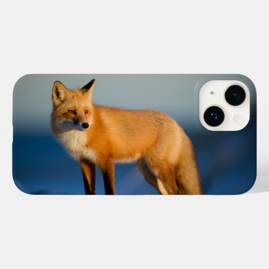 Bruine Vos iPhone 14 Hoesje (Achterkant (horizontaal))