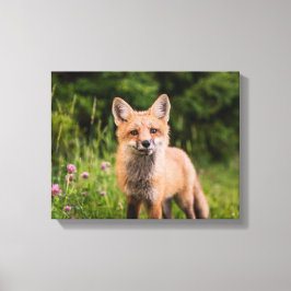 Bruine vos op groen gras canvas afdruk