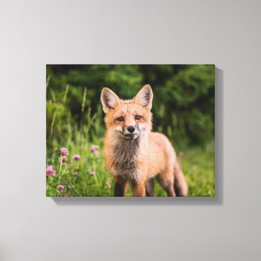 Bruine vos op groen gras canvas afdruk (Voorkant)