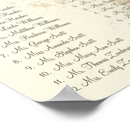 Bruine wervelkolom Zittingsgrafiek 12 tabellen Poster (Hoek)