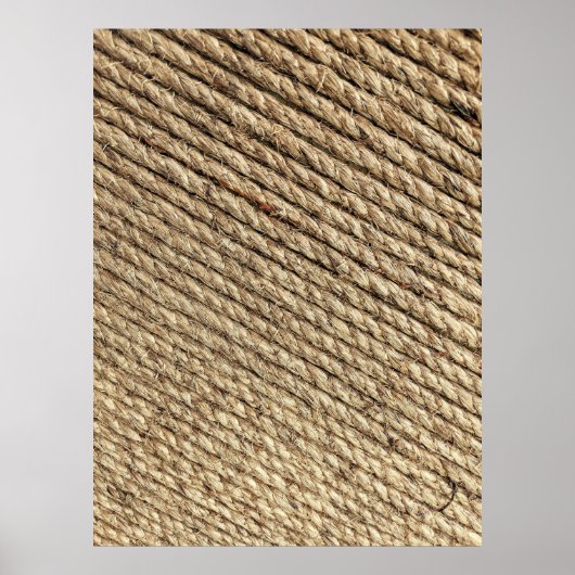 Bruine wilgentenvlees poster (Voorkant)