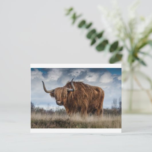 Bruine Yak op groen en bruin grasveld Briefkaart (Staand voorkant)