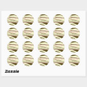 Bruine Zebra Print met Roze Adresetiketten Ronde Sticker (Vel)