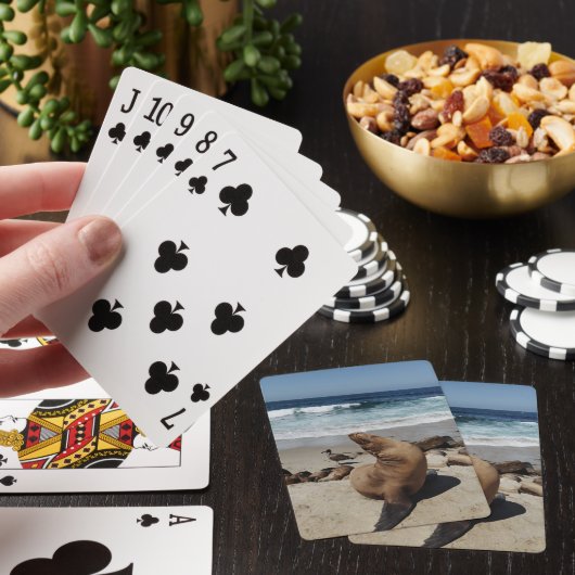 Bruine zeeleeuw op een strand pokerkaarten (Insitu)