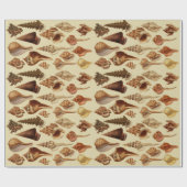 bruine zeeschelpen slakken kust onder Zee Cadeaupapier (Vlak)