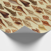 bruine zeeschelpen slakken kust onder Zee Cadeaupapier (Hoek)