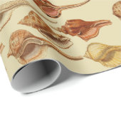 bruine zeeschelpen slakken kust onder Zee Cadeaupapier (Rol Hoek)