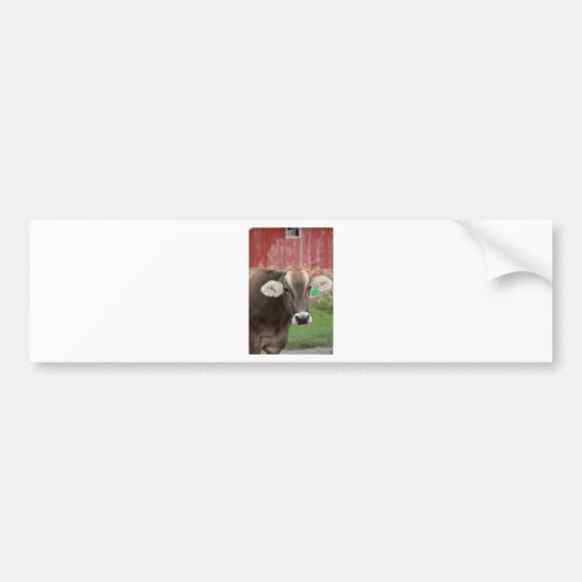 Bruine Zwitserse kool Bumpersticker (Voorkant)