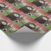 Bruine Zwitserse kool Cadeaupapier (Hoek)