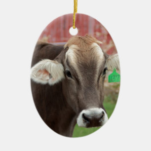 Bruine Zwitserse kool Keramisch Ornament