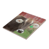 Bruine Zwitserse kool Tegeltje (Zijkant)