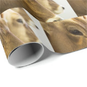 Bruine Zwitserse melkkoeien Cadeaupapier (Rol Hoek)