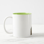 Bruine Zwitserse Mok met kool van 2 t (Links)