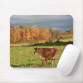 Bruine Zwitserse Muismat (Met muis)