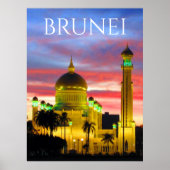 bruinkoolmoskee poster (Voorkant)