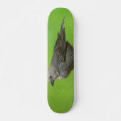Bruinkopkoevogel Persoonlijk Skateboard (Voorkant)