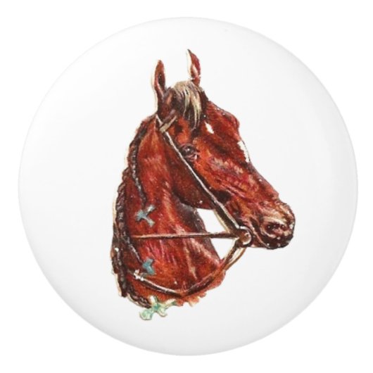  bruinmakreel  kunst keramische knop (Voorkant)