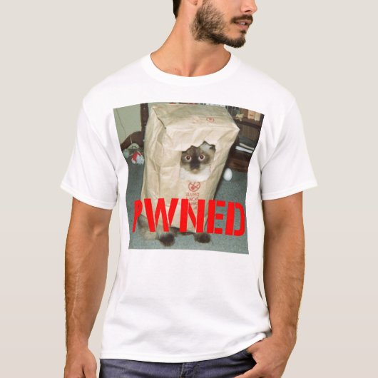 bruinvissen, de gamers motto t-shirt (Voorkant)