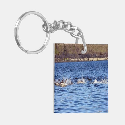 Bruinvissen van gewone dolfijnen sleutelhanger (Voorkant Links)