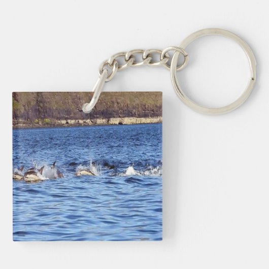 Bruinvissen van gewone dolfijnen sleutelhanger (Achterkant)