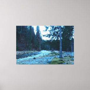 Bruisende Bergstroom – Wilde Natuur Roemenië Canvas Afdruk