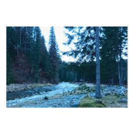 Bruisende Bergstroom – Wilde Natuur Roemenië Foto Afdruk