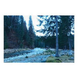 Bruisende Bergstroom – Wilde Natuur Roemenië Foto Afdruk