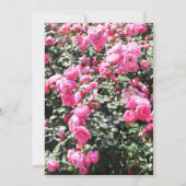 Bruisende hete roze rozenstruik tuin bruiloft kaart (Achterkant)