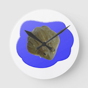 Brulkikvors in de Klok van de Muur van de Vijver