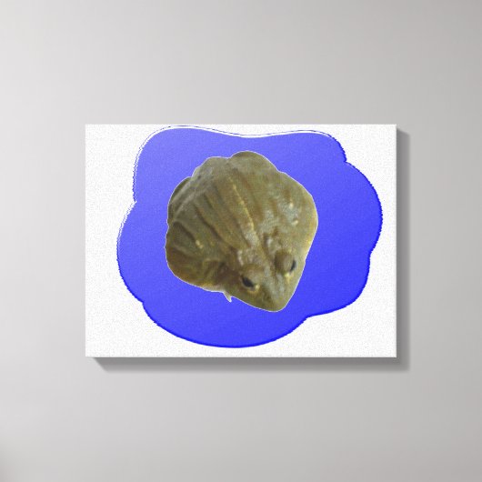 Brulkikvors in vijver canvas print (Voorkant)