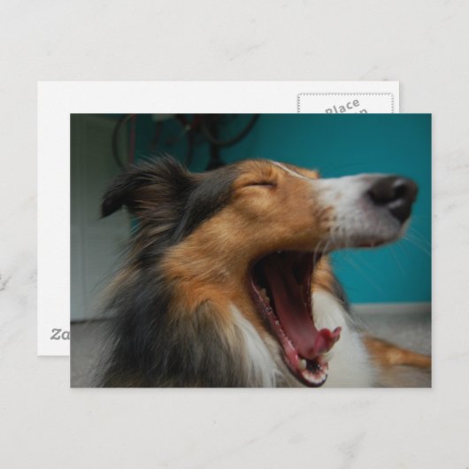 Brullende Hond Briefkaart (Voorkant / Achterkant)