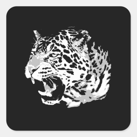 brullende jaguar plein Stickers (Voorkant)