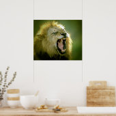Brullende Leeuw Poster Print (Keuken)