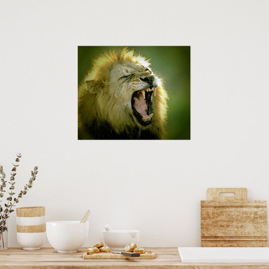 Brullende Leeuw Poster Print (Keuken)
