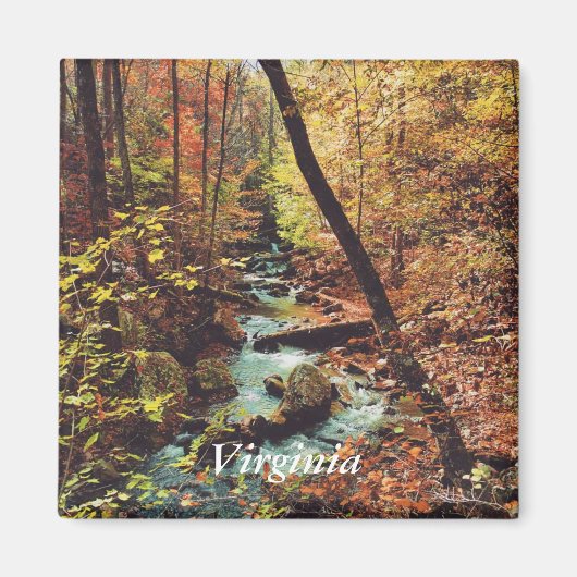 brullende run magneet (Voorkant)