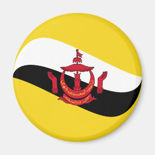 Brunei Fisheye Vlagmagneet Magneet