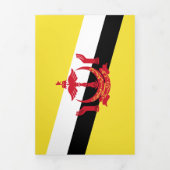 Brunei vlag drieluik kaart (Cover)