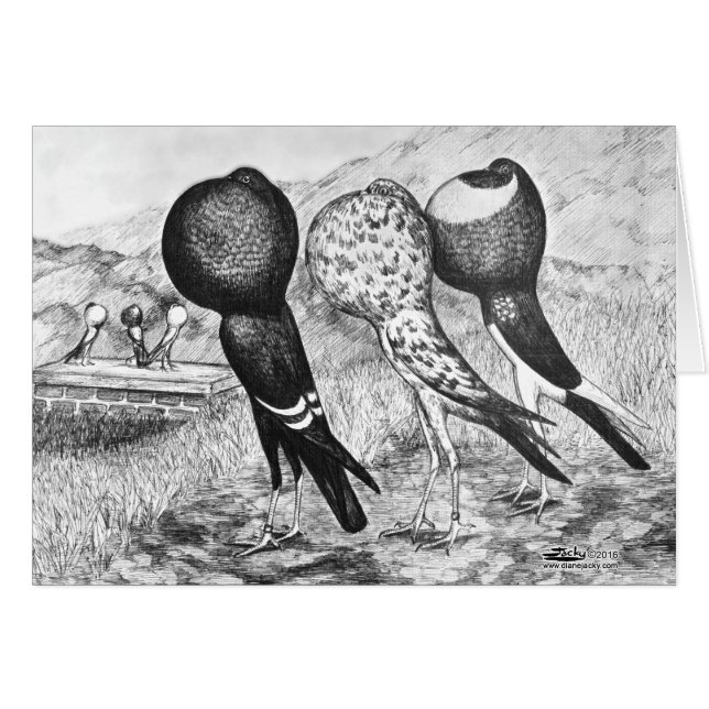 Brunner Pouter Pigeons (Voorkant Horizontaal)