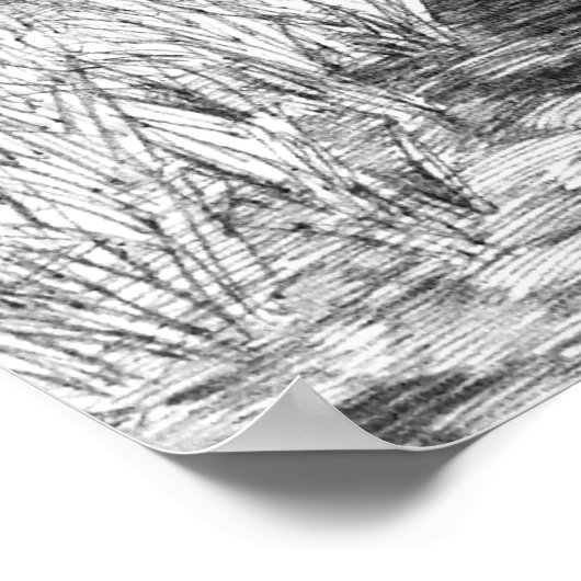 Brunner Pouter Pigeons Poster (Hoek)