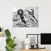 Brunner Pouter Pigeons Poster (Thuiskantoor)