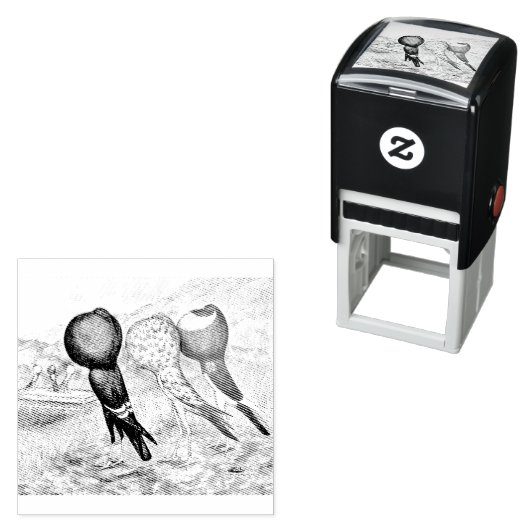 Brunner Pouter Pigeons Zelfinktende Stempel (In situ)