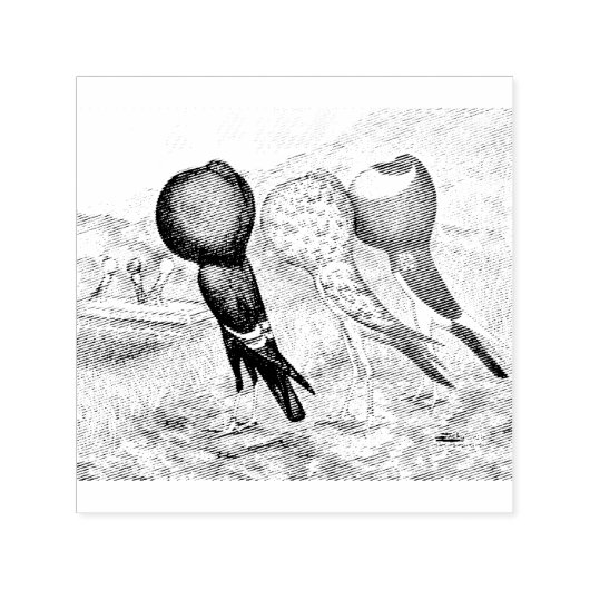 Brunner Pouter Pigeons Zelfinktende Stempel (Design)