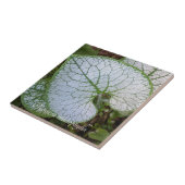 Brunnera Macrophylla Plant Leaf Floral Tegeltje (Zijkant)