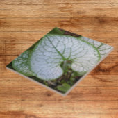 Brunnera Macrophylla Plant Leaf Floral Tegeltje