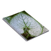 Brunnera Macrophylla Plantenblad Bloemrijk Notitieboek (Rechterzijde)